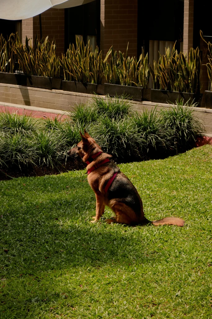 Loma-verde-furnished-apartments-family-16
